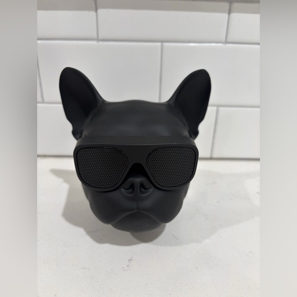 sway air fitz Other - Sway Air Fitz Bluetooth Speaker